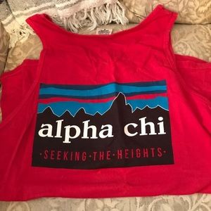 Medium Alpha Chi Comfort colors